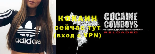 кокс Бородино