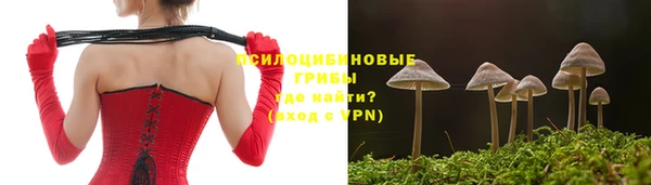 трава Сосновоборск